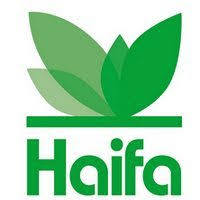 haifa